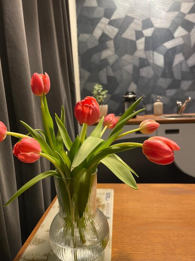 Bed & Breakfast Vannienke Tersoal Eksteriør bilde